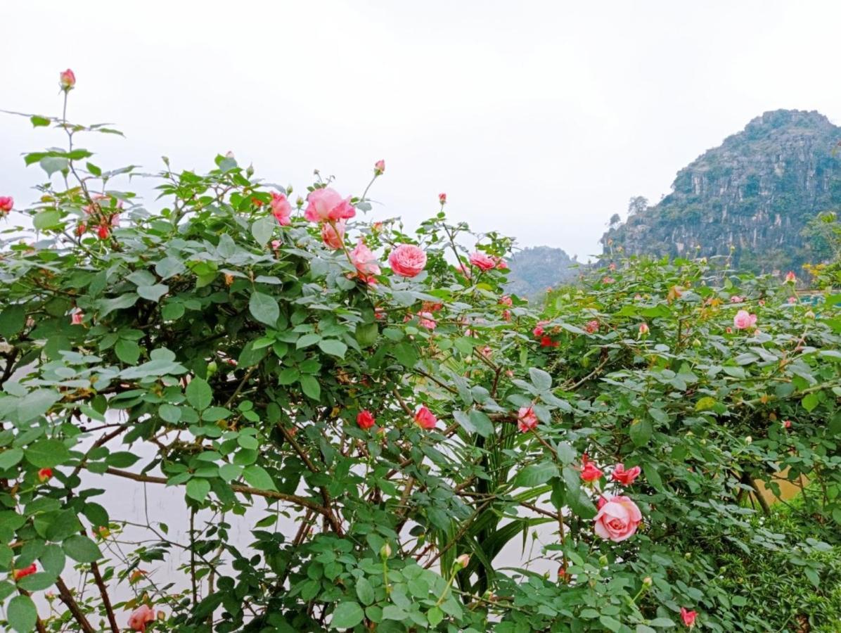 Ninh Binh Green Farmstay La Phu  Exterior photo