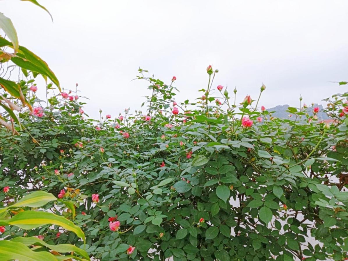 Ninh Binh Green Farmstay La Phu  Exterior photo