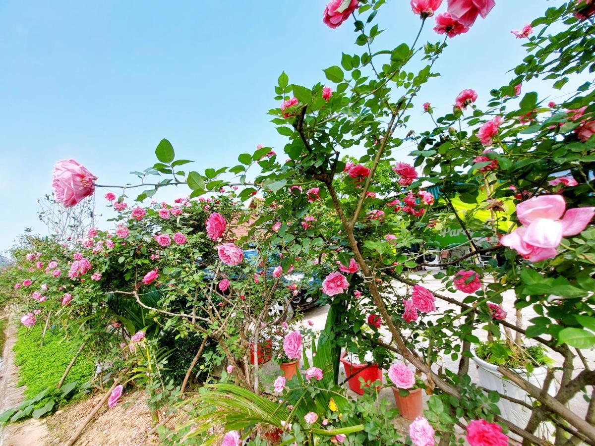 Ninh Binh Green Farmstay La Phu  Exterior photo