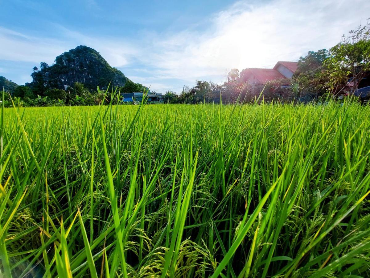 Ninh Binh Green Farmstay La Phu  Exterior photo