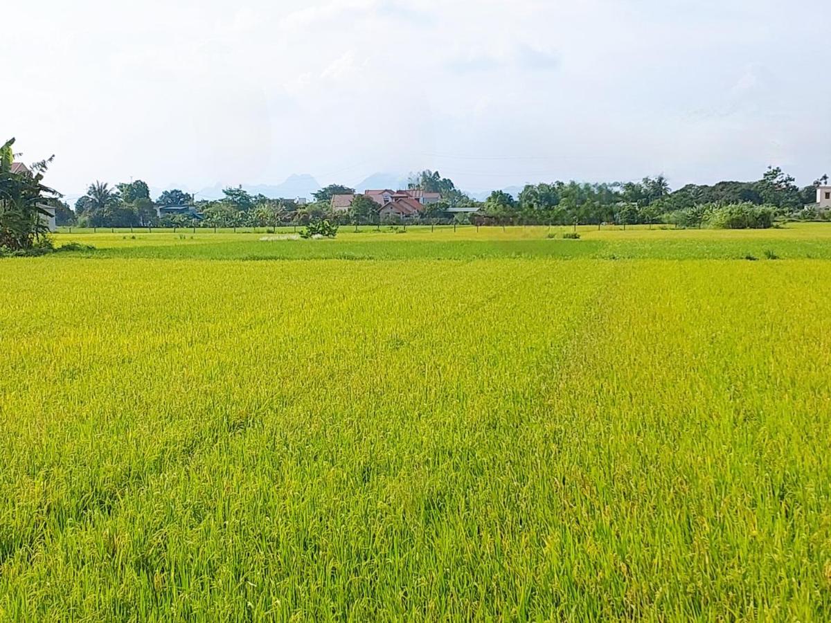 Ninh Binh Green Farmstay La Phu  Exterior photo