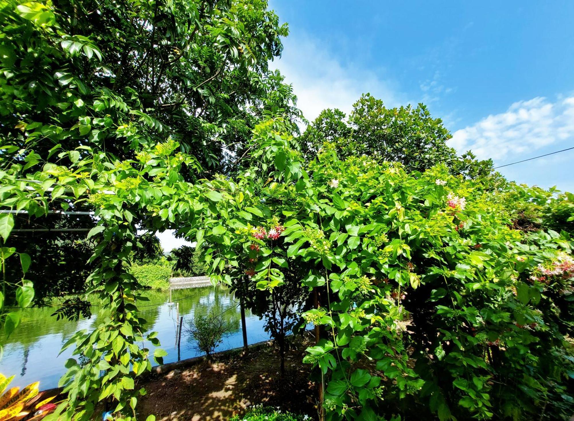 Ninh Binh Green Farmstay La Phu  Exterior photo